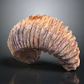 Detailed Spiral Organ Model With Orange Purple Color And Hair Like Textured Surface