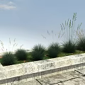 Tall and Short Grasses in Rectangular Stone Planter with Blue Sky and Paved Ground 3d model