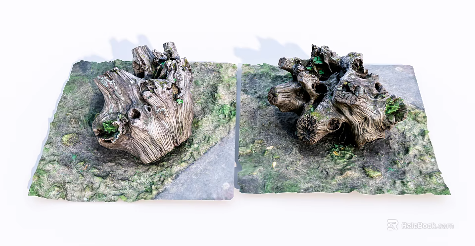 Natural Stone and Wood Decorative Tree Stumps With Green Moss and Small Plants 3d model 