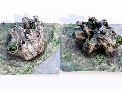 Natural Stone and Wood Decorative Tree Stumps With Green Moss and Small Plants 3d model
