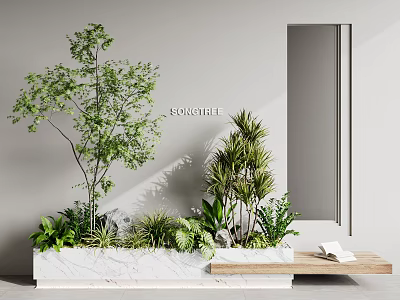 Indoor Landscape With Diverse Green Plants In Marble Planter Wooden Bench And Gray Wall Mirror 3d model