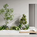 Indoor Landscape With Diverse Green Plants In Marble Planter Wooden Bench And Gray Wall Mirror