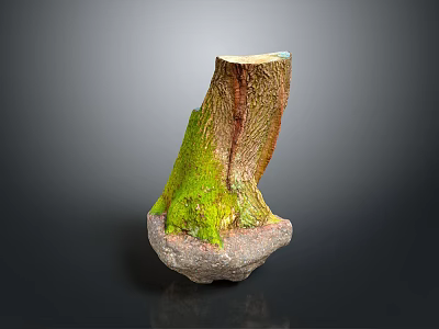 Natural Wooden Tree Stump Decorative Piece With Stone Base And Green Moss Texture 3d model