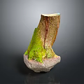 Natural Wooden Tree Stump Decorative Piece With Stone Base And Green Moss Texture
