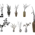 Various Decorative Vases With Dried Branches And Plants For Home Decor 3d model