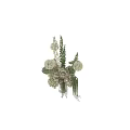 Elegant White Flowers in Glass Vase with Hydrangea Lotus-like Blooms Green Leaves Hanging