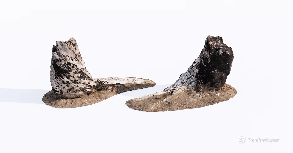 Weathered Stone Wood Decorative Pieces With Natural Texture Irregular Shape And Sandy Base 3d model 