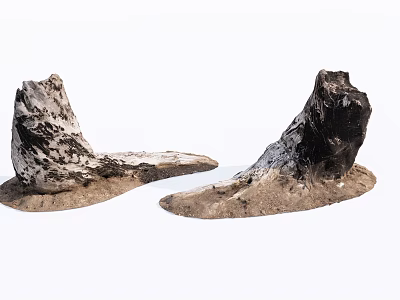 Weathered Stone Wood Decorative Pieces With Natural Texture Irregular Shape And Sandy Base 3d model