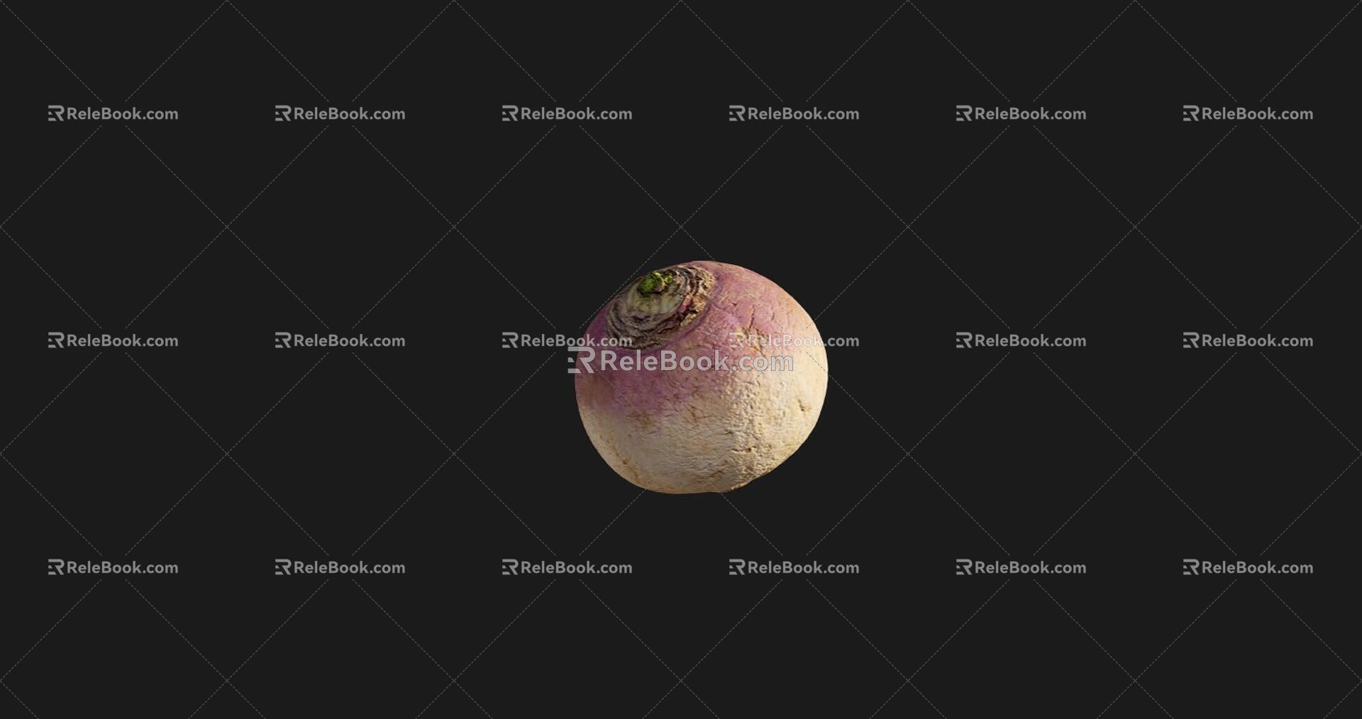 Vegetable radish 3d model