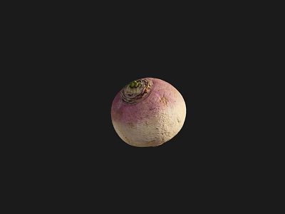 Round Purple and White Fresh Fruit with Green Leaves on Top and Natural Skin Texture 3d model