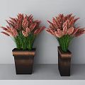 Bonsai Potted Plants With Pink Flowers Green Leaves In Brown Square Pots On Gray Background