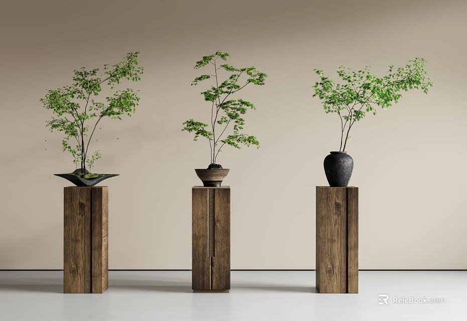 Minimalist Bonsai Plants On Wooden Pedestals With Various Pots And Green Foliage 3d model 