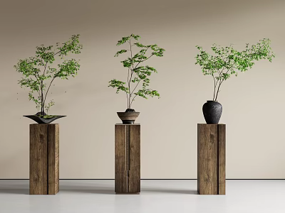 Minimalist Bonsai Plants On Wooden Pedestals With Various Pots And Green Foliage 3d model