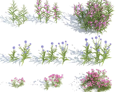 Beautiful Flowers And Plants Featuring Pink Purple Blooms Slender Leaves And Sunlit Shadows 3d model