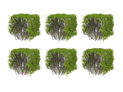 Green Wall Decorative Panels With Varied Plant Designs For Indoor Outdoor Use 3d model