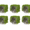Green Wall Decorative Panels With Varied Plant Designs For Indoor Outdoor Use