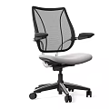 Ergonomic Modern Office Chair with Mesh Back Adjustable Armrests Gray Seat Cushion