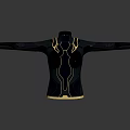 Women's Black Tight Top With Golden Lines Design And High Neck Long Sleeves