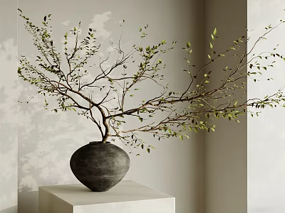 Gray Vase with Green Leaf Branches on White Pedestal Light Wall Soft Shadows 3d model