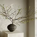 Gray Vase with Green Leaf Branches on White Pedestal Light Wall Soft Shadows