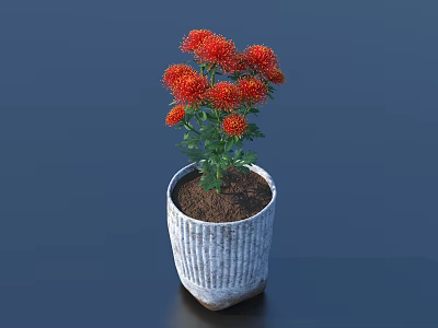 Potted Bonsai Plant With Red Flowers In White Textured Pot On Dark Background 3d model