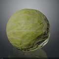 Fresh Green Round Cabbage Healthy Vegetable With Vibrant Color And Texture