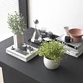 Black Table Decor With Green Plants Books Vase Copper Bowl And Glassware
