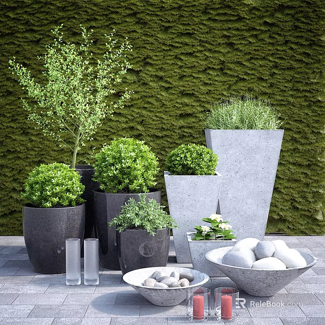 Garden Decor Featuring Living Wall Various Planters Green Plants White Stones And Glass Vases 3d model 
