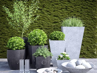 Garden Decor Featuring Living Wall Various Planters Green Plants White Stones And Glass Vases 3d model