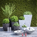 Garden Decor Featuring Living Wall Various Planters Green Plants White Stones And Glass Vases