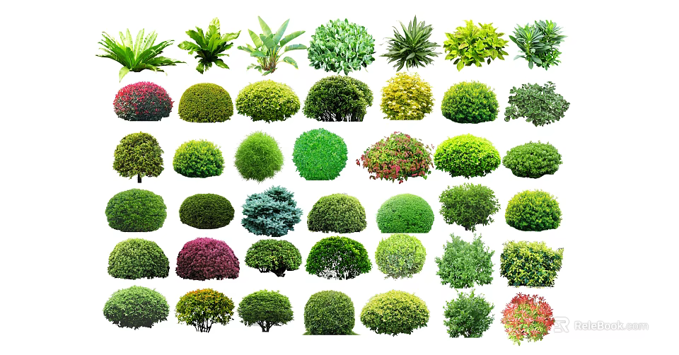 Diverse Garden Shrubs with Various Shapes Colors and Lush Foliage 3d model 