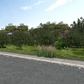 Scenic Municipal Road with Lush Green Trees Grass Shrubs and Stone Sidewalk Landscaping