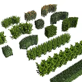 Various Types Of Green Shrubs With Different Shapes For Garden Landscaping