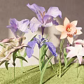 Purple Pink and White Iris Lily Flowers in Sunlight on Green Grass by Light Wall