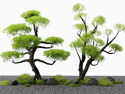 Arbor Trees With Curved Branches Lush Green Foliage On Gravel Ground Stones And Grass 3d model