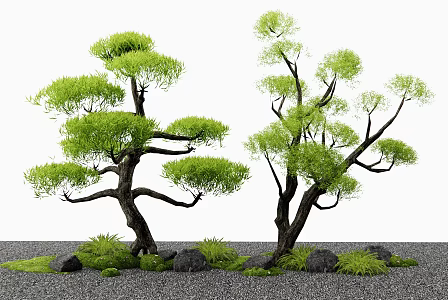 New Chinese Style Pine Tree Lohan Pine Old Pile Landscape Tree Arbor Moss Stone Landscape Tree 3d model