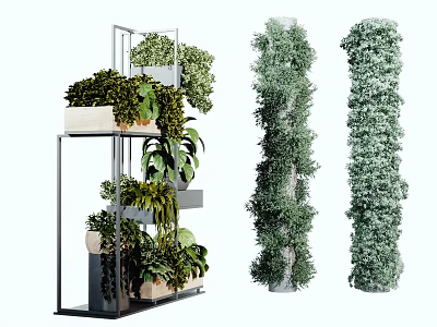 Modern Potted Bonsai Display With Multi Tiered Metal Shelf And Vertical Plants 3d model