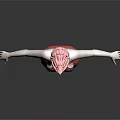 3D Character Model With Pink Hair Red Sleeveless Top Beige Pants And Blue Shoes