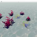 Colorful Aquatic Plants With Red Purple Yellow Foliage In Shallow Water