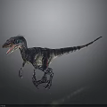 Colorful 3D Rendered Velociraptor in Standing Pose with Open Mouth and Dark Background Reflection