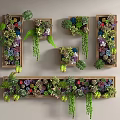 Decorative Green Plant Wall with Wooden Frames Succulents Hanging Vines and Various Colors