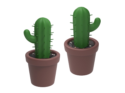 ornaments cactus model