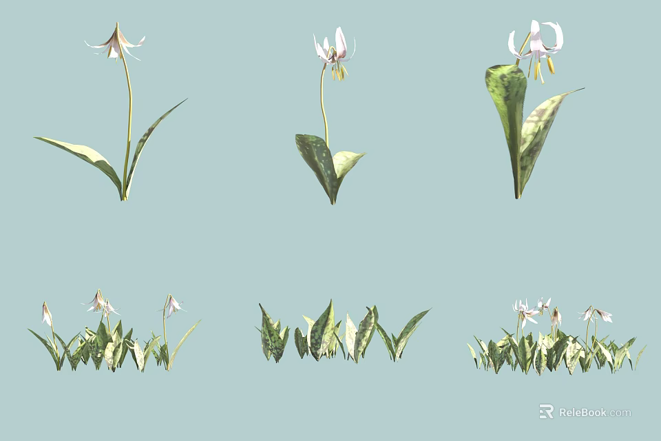 White Flowers and Green Leaves Illustration with Light Blue Background Single and Clustered Plant Designs 3d model 
