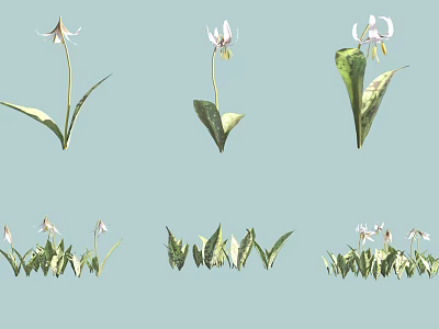 White Flowers and Green Leaves Illustration with Light Blue Background Single and Clustered Plant Designs 3d model