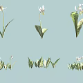 White Flowers and Green Leaves Illustration with Light Blue Background Single and Clustered Plant Designs