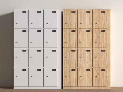 White and Wooden Wardrobe Design With Multiple Drawers and Handle Details 3d model