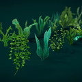 Colorful Aquatic Plants Featuring Various Green Blue Orange Red Seaweed And Coral Like Structures