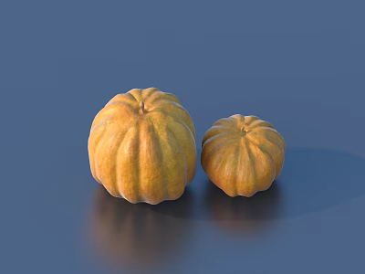 Two Fresh Pumpkins With Size Difference On Blue Background And Clear Reflections 3d model