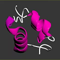 Bacteria Eukaryotic cell Cross section Cell structure Cell tissue Anatomical organ 3d model