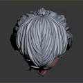 Realistic 3D Model of Male Head With Silver Gray Long Hair and Facial Features